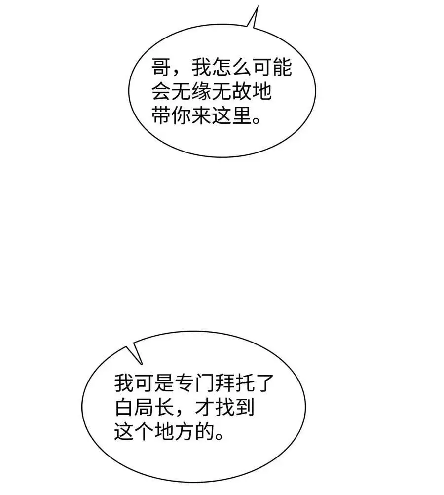 132 假账 第48页