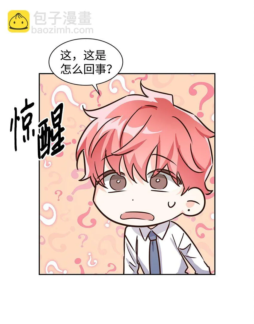 61 回家继续 第43页