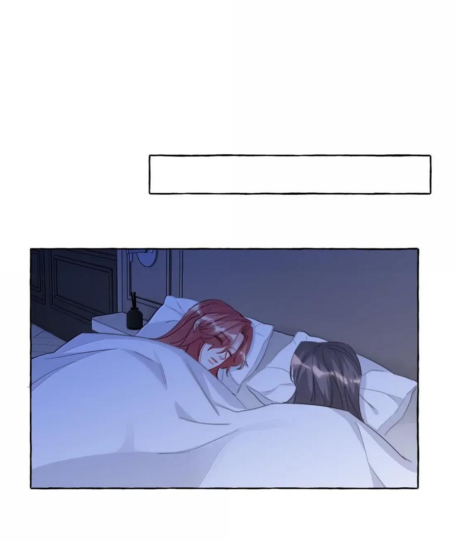 156 化石 第16页