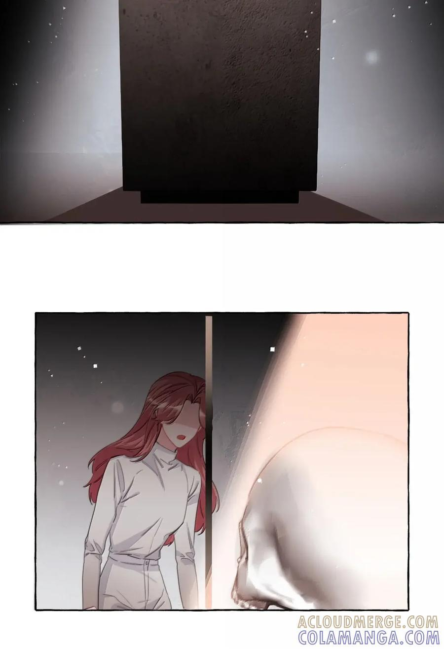 156 化石 第27页