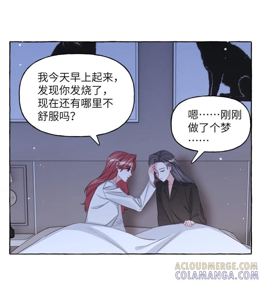 156 化石 第31页