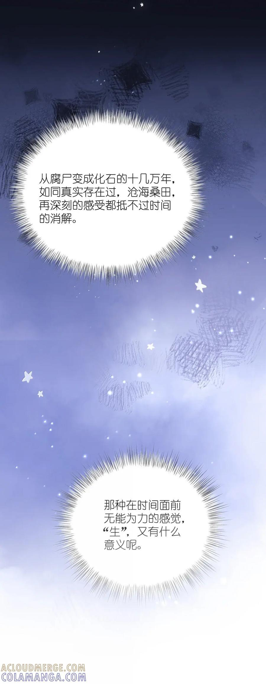 156 化石 第33页