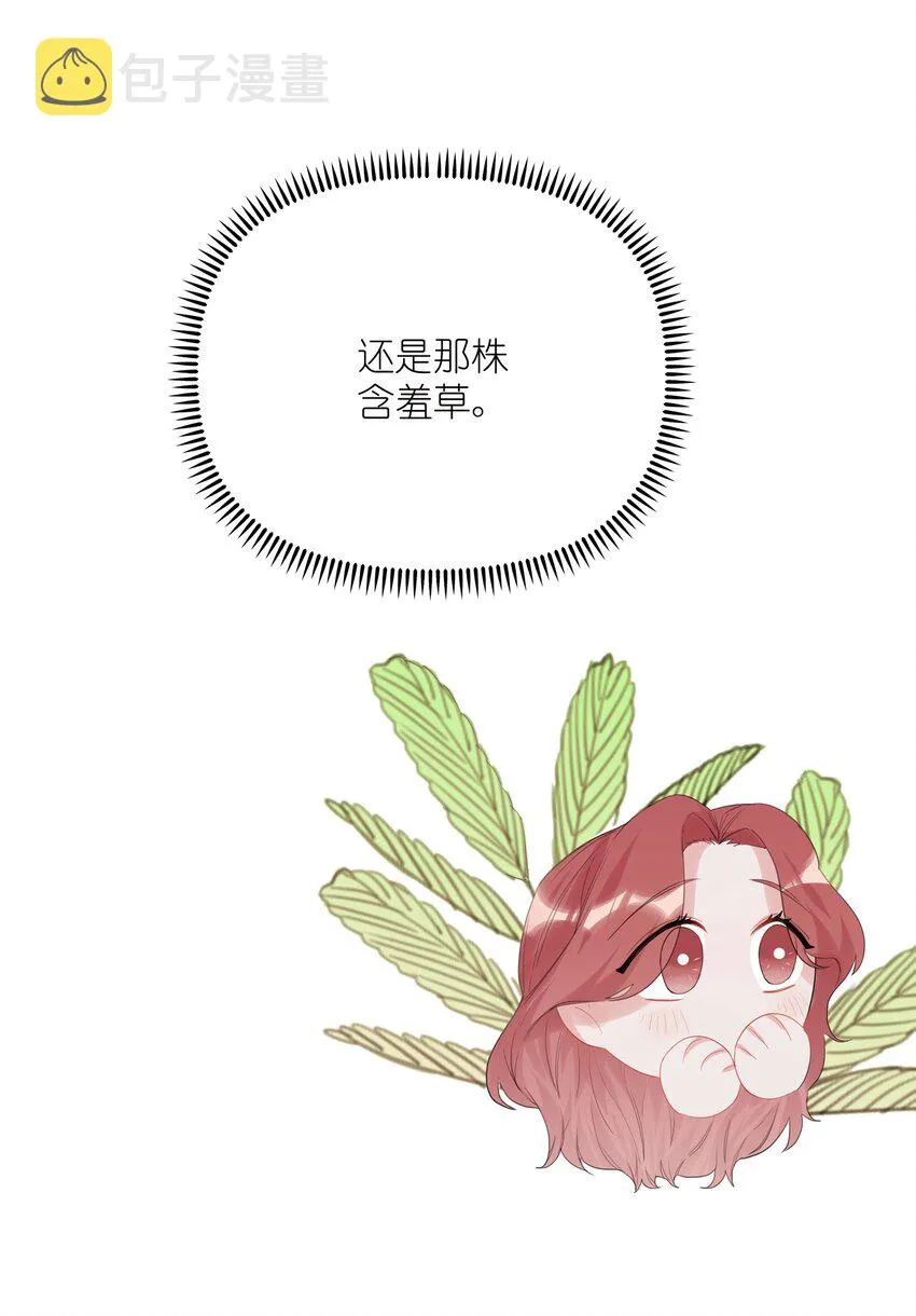 016 还是那颗含羞草 第36页