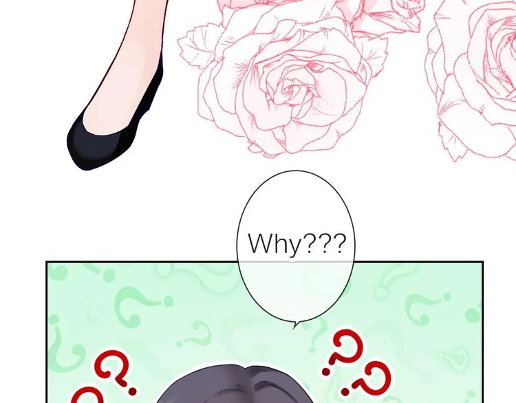 第1话 女总裁择夫指南？ 第13页