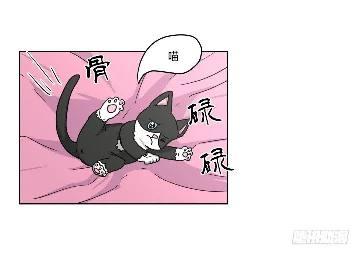哀求 第5页