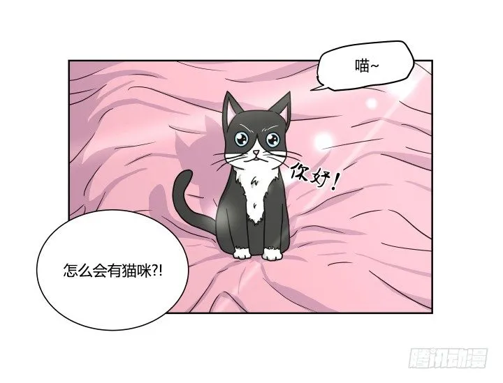 突如其来的意外 第6页