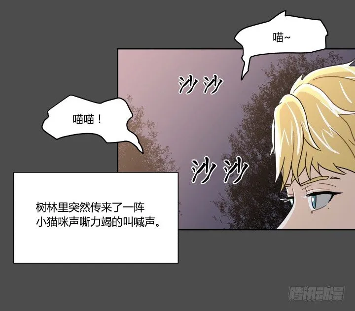 突如其来的意外 第15页