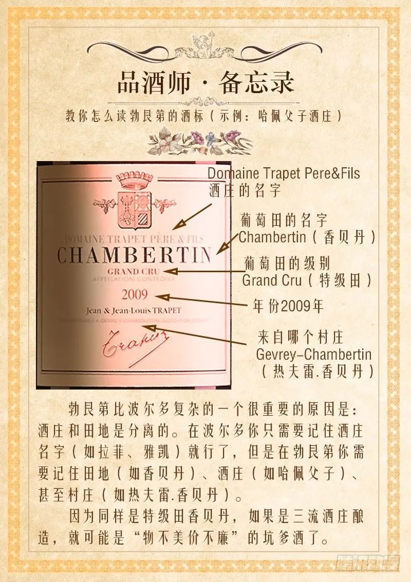 番外：品酒师备忘录(知识卡片1) 第10页