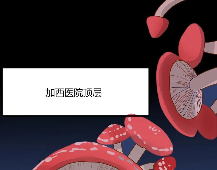 第75话 你叫我什么？ 第71页