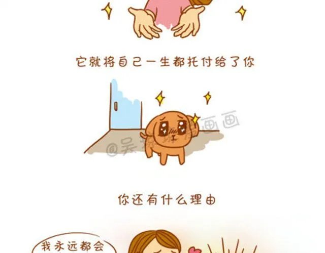 不抛弃，不放弃。 第13页
