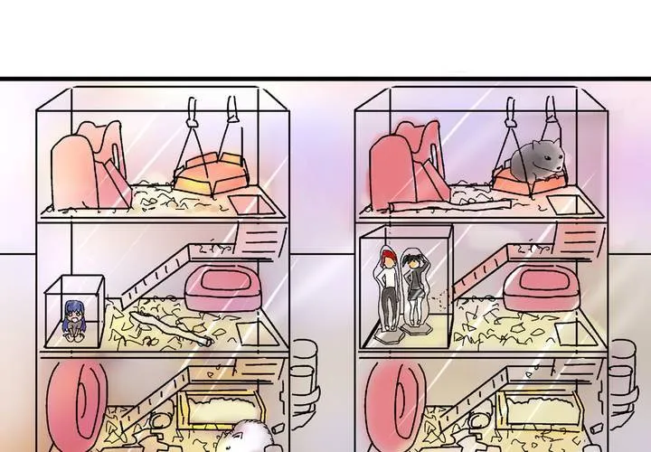 第二十五话：非日常也便成了日常（中） 第27页