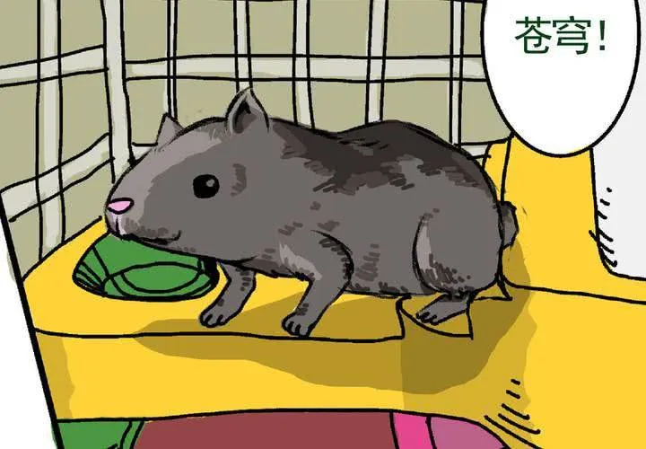 第十五话：归家的日常 第22页