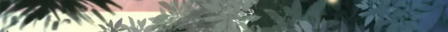 第326话 湘王的毒计 第50页