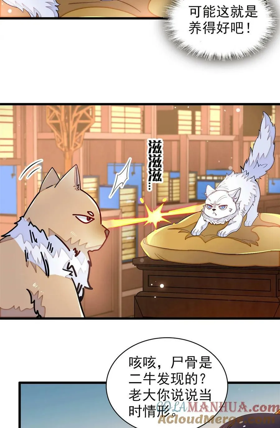 334 以为我什么都不知道吗？ 第3页