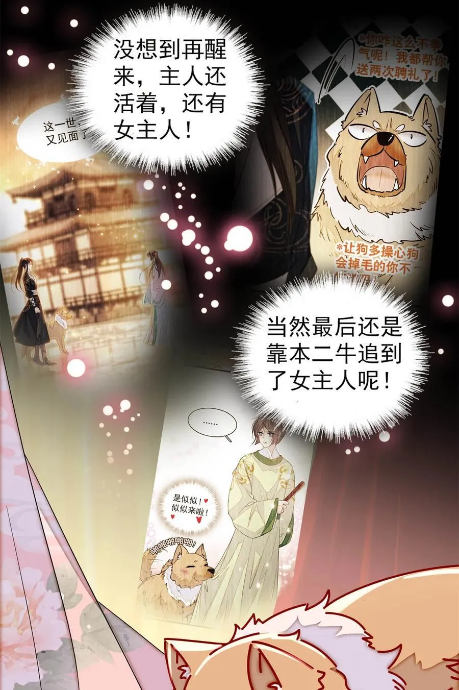 388 这一世我们都好好的 第34页