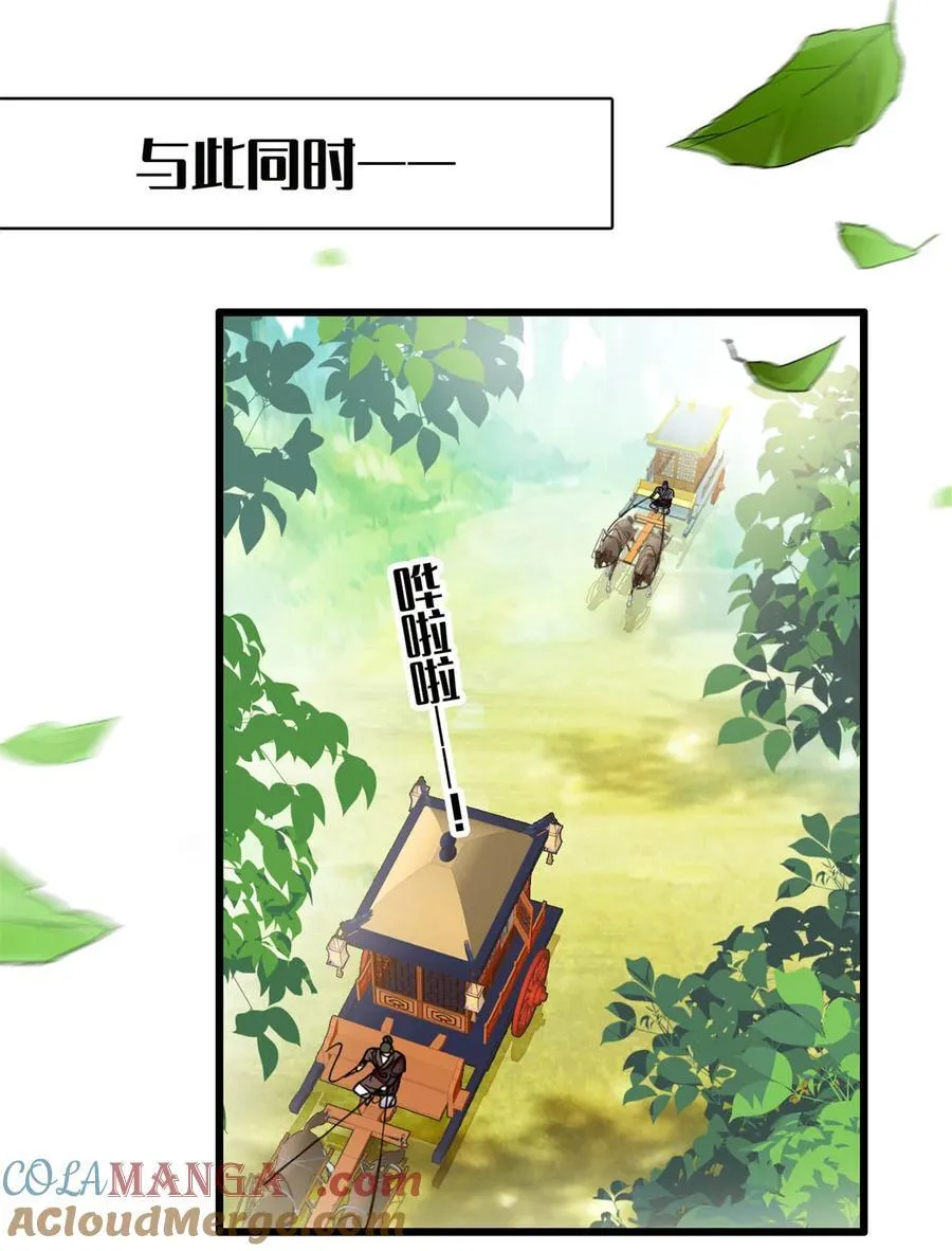 392 请旨赐婚 第13页
