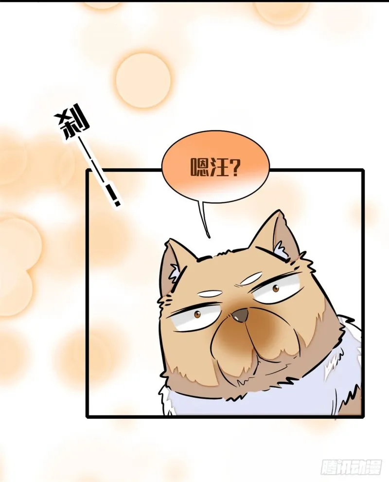 第74话 一只绣花鞋 第25页