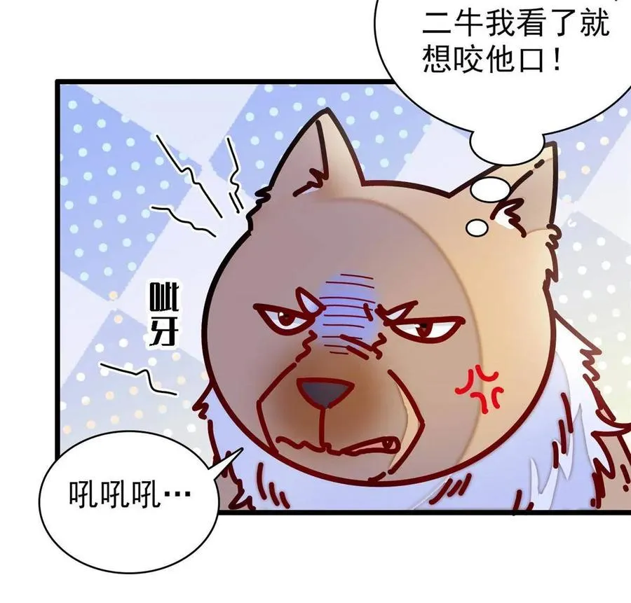 第227话 最强搜救犬二牛 第14页