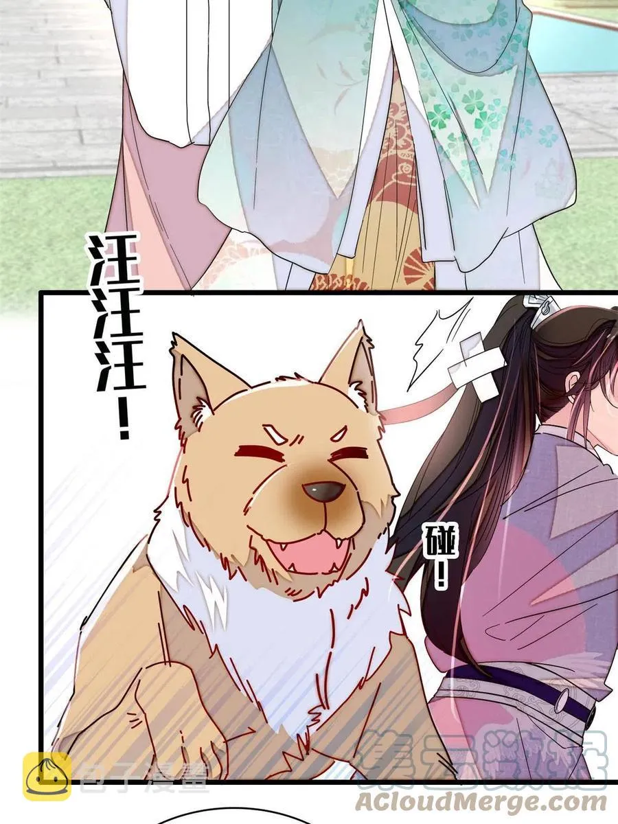 第229话 阿似，我回来啦！ 第43页