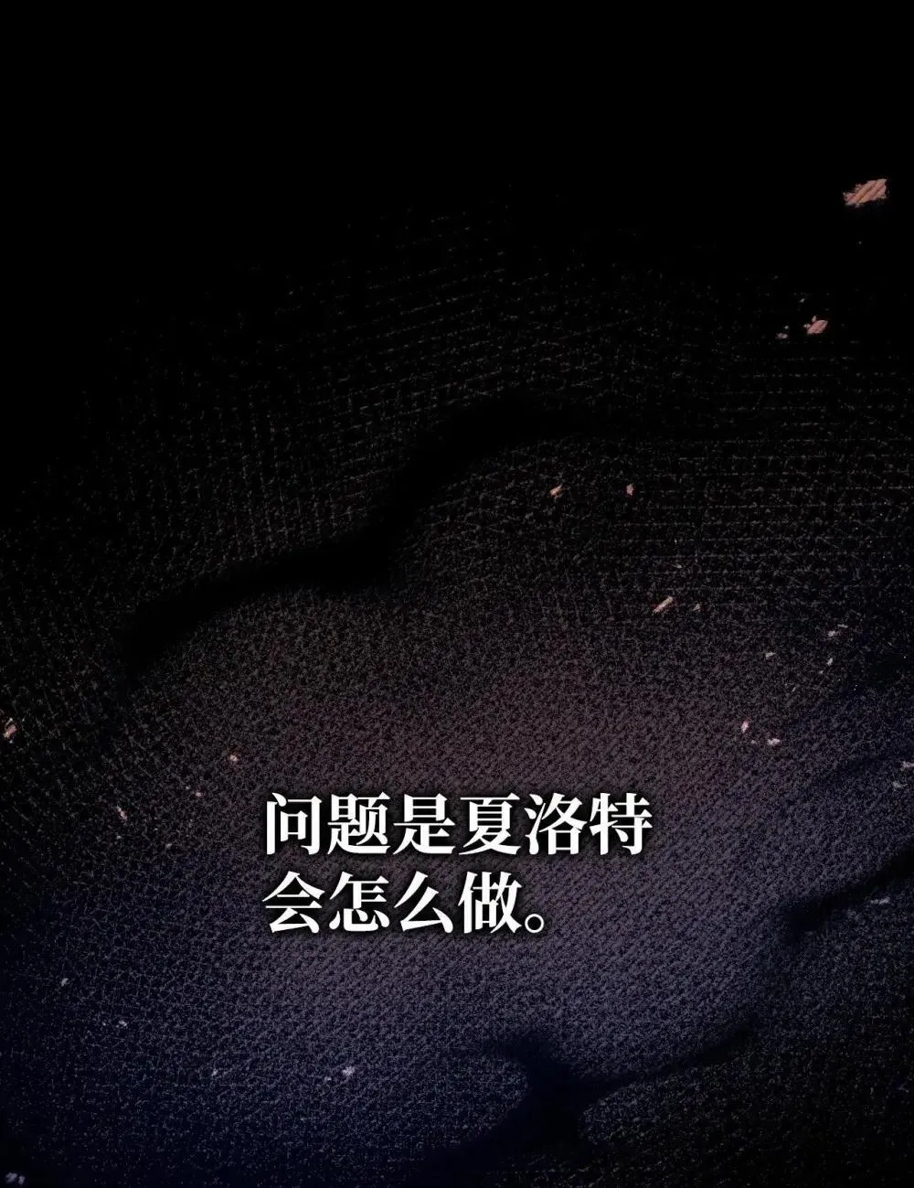 111 跟夏洛雅结婚？ 第45页