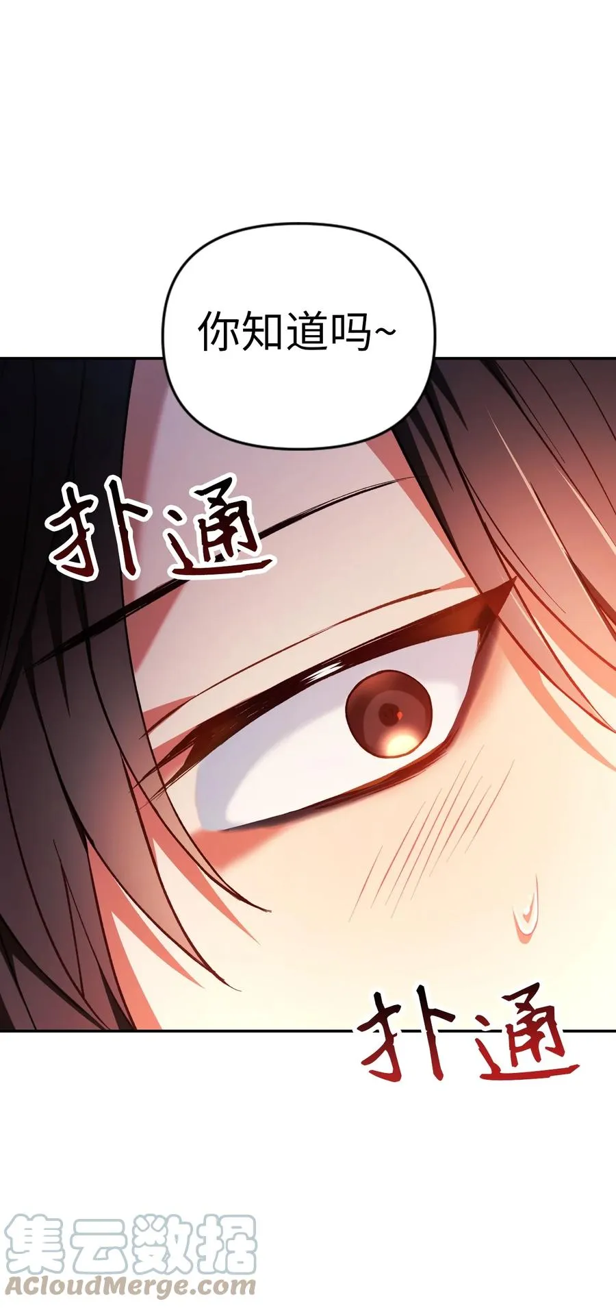 009 同类 第28页