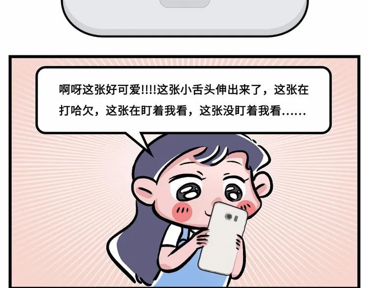 我们猫奴就是这样的！ 第4页