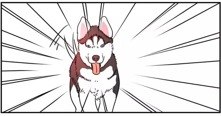 狗狗发现少女惊人的秘密 第10页