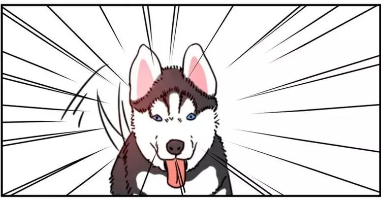 狗狗发现少女惊人的秘密 第11页