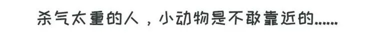 狗狗发现少女惊人的秘密 第26页
