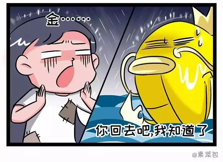 金姨与鱼与鱼与鱼与鱼与鱼 第13页