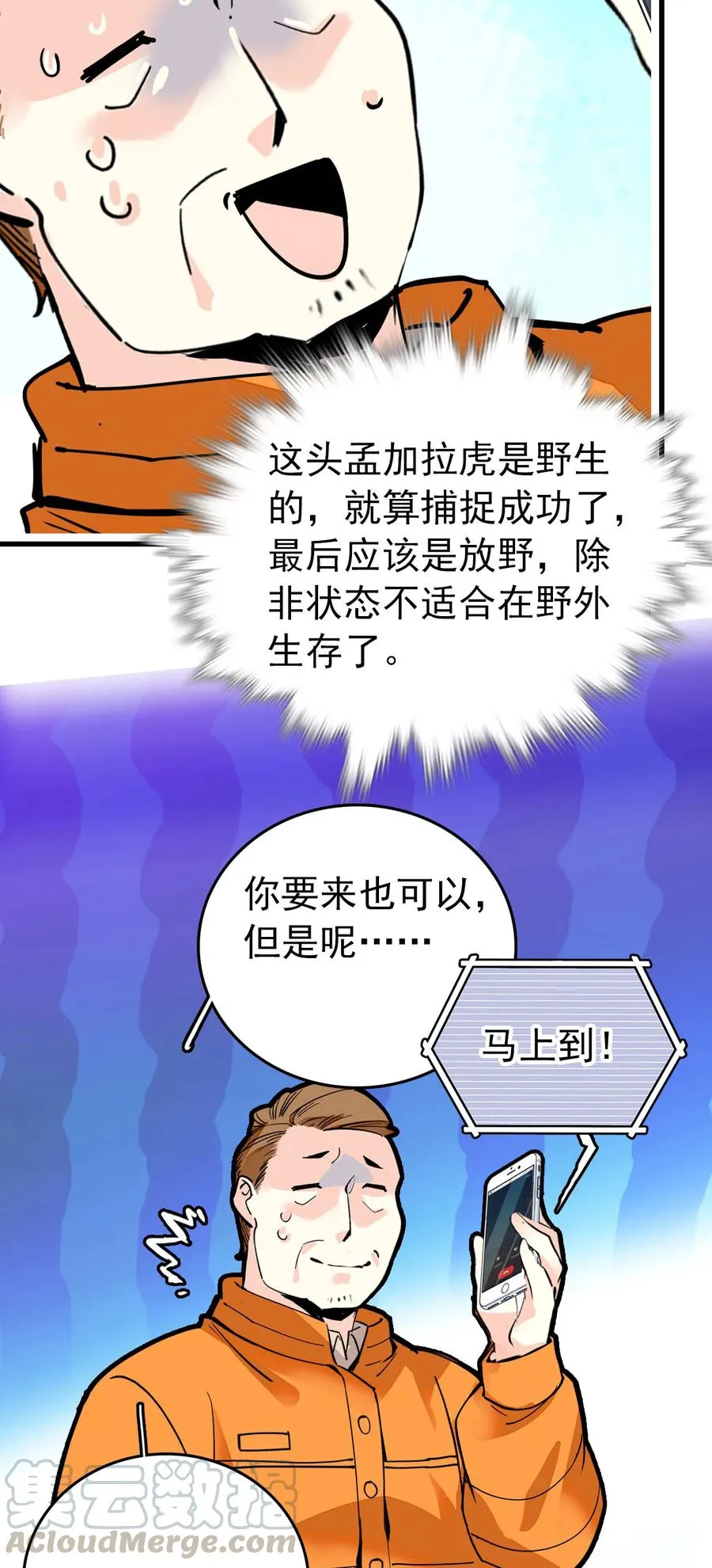148 这只老虎是我的了 第13页