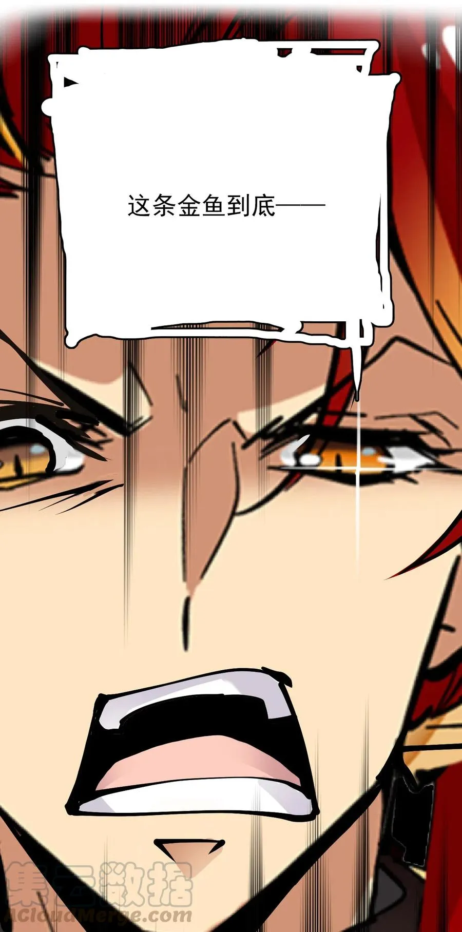 142 这条金鱼到底哪里好看？ 第25页