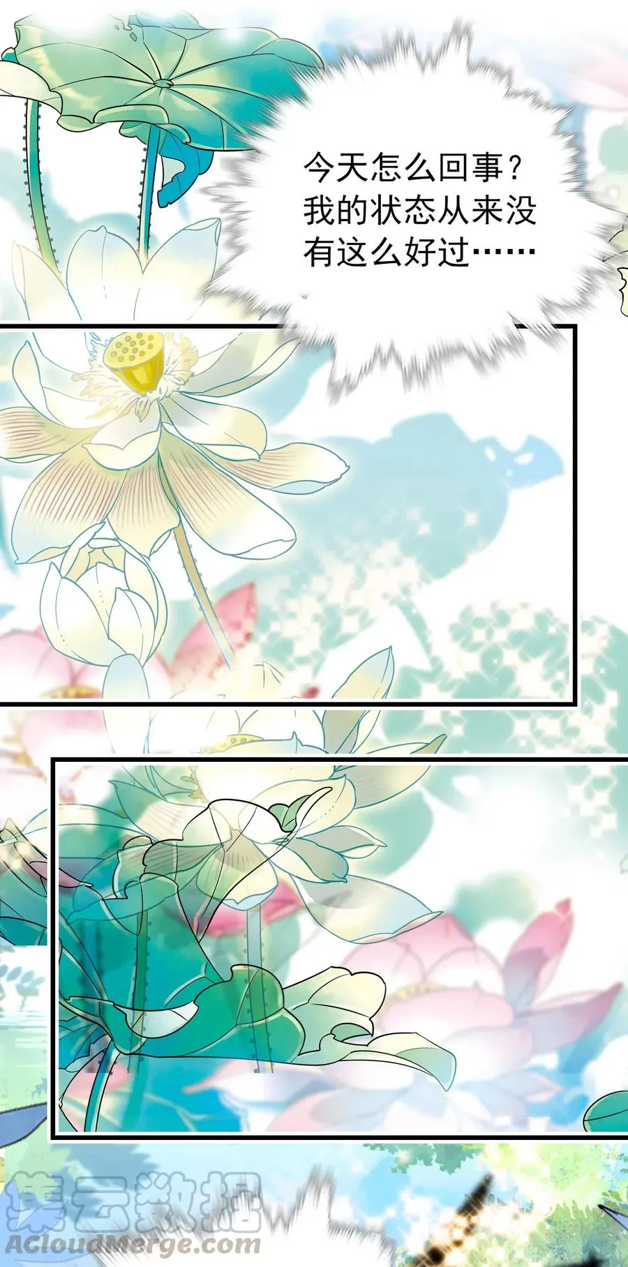 140 紫竹莲花湖提升绘画境界 第13页