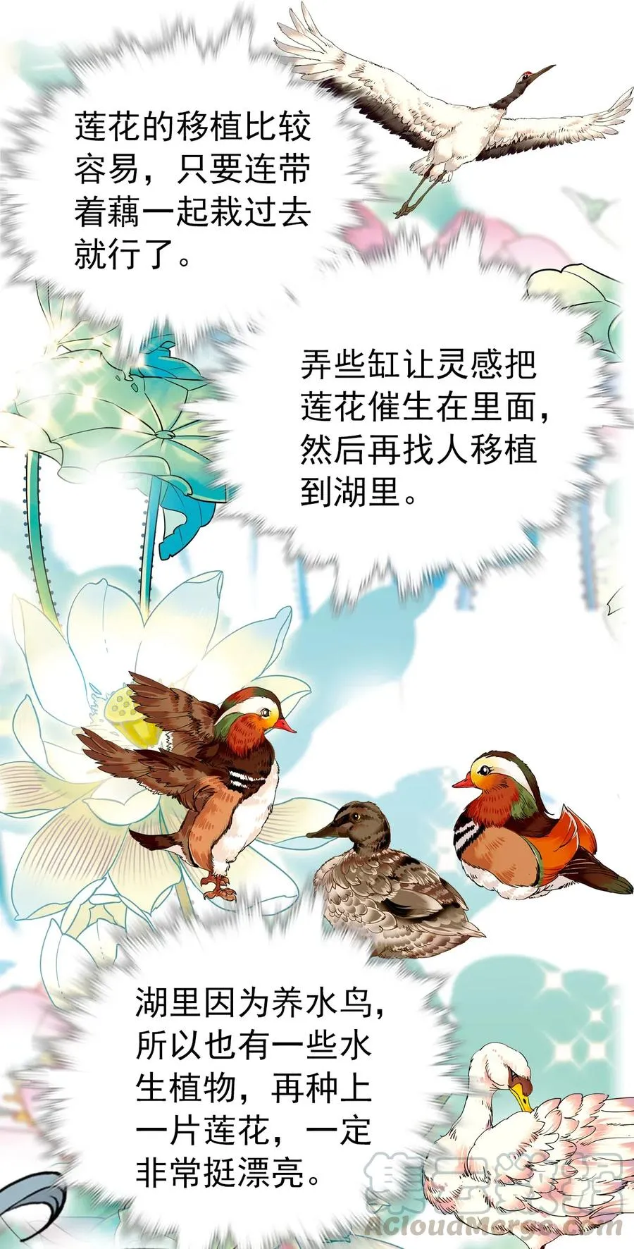 136 灵感大王和鲲鹏的化形问题 第25页