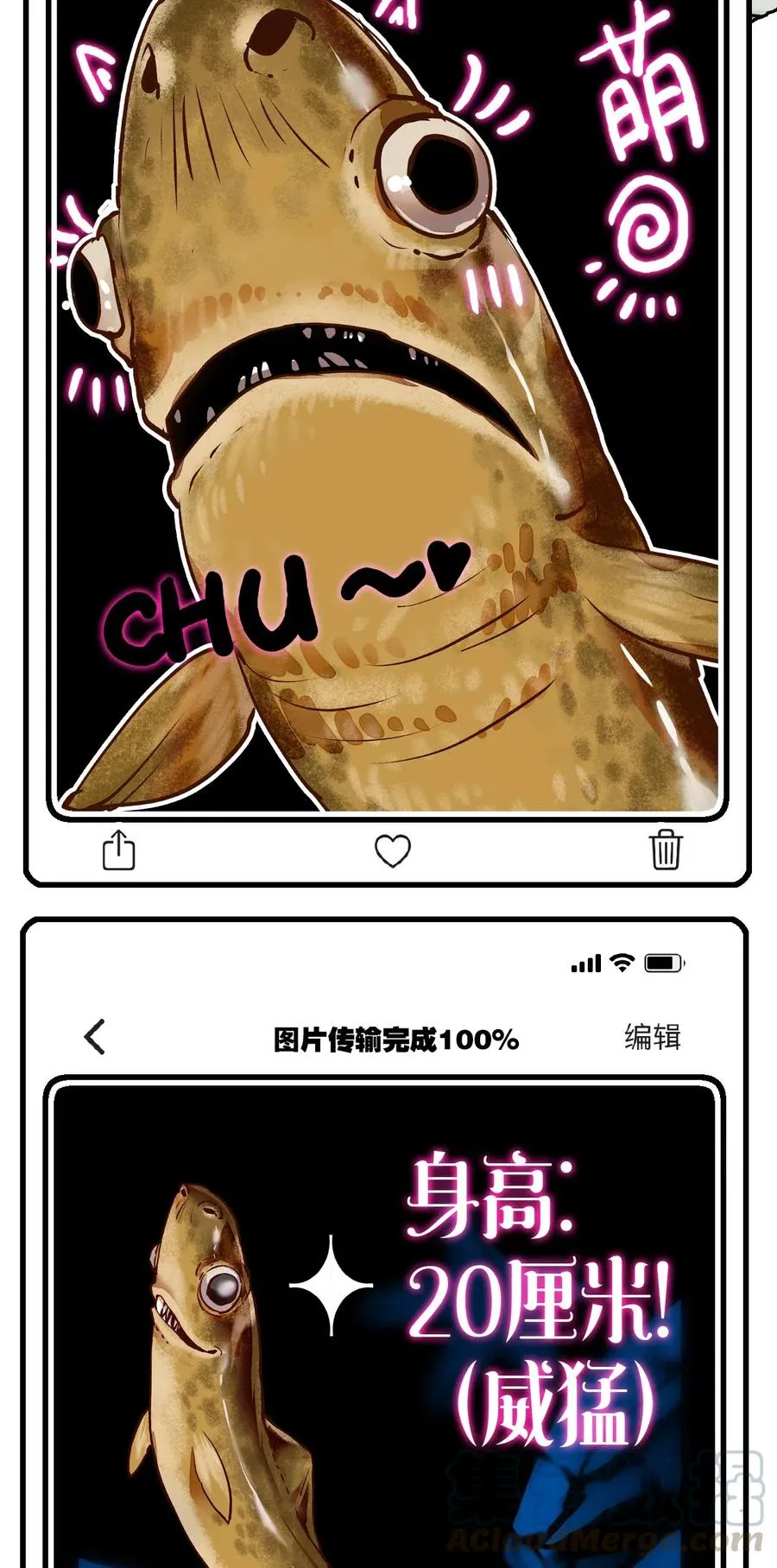 135 新动物到岗报道 第9页