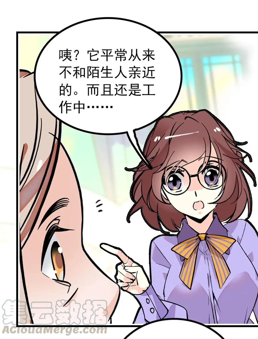 126 与小狗喜相逢 第25页