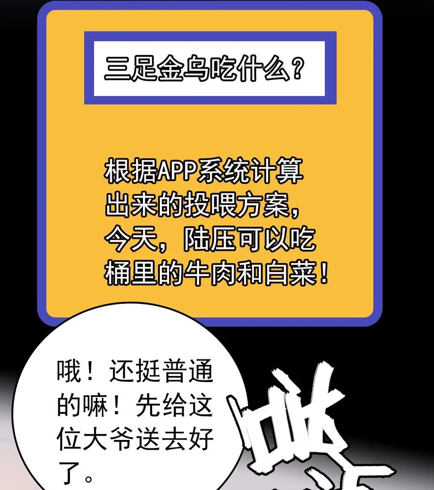 003 新手任务 第51页