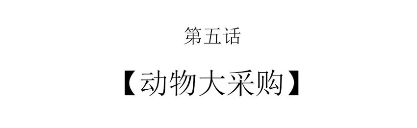 005 动物大采购 第2页