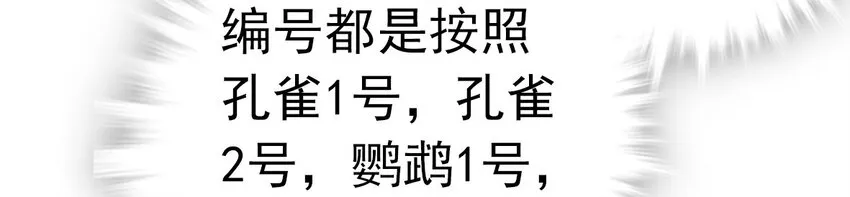 005 动物大采购 第27页