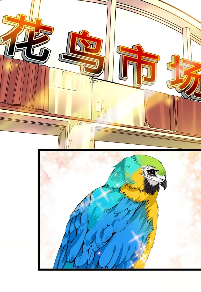 005 动物大采购 第33页
