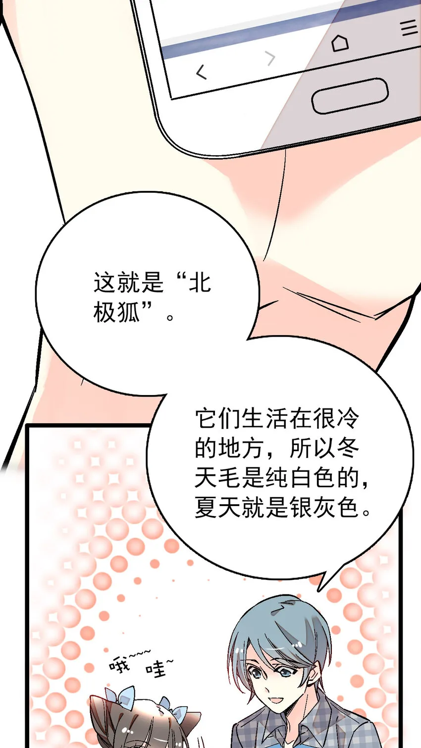 020 登录北极狐 第19页