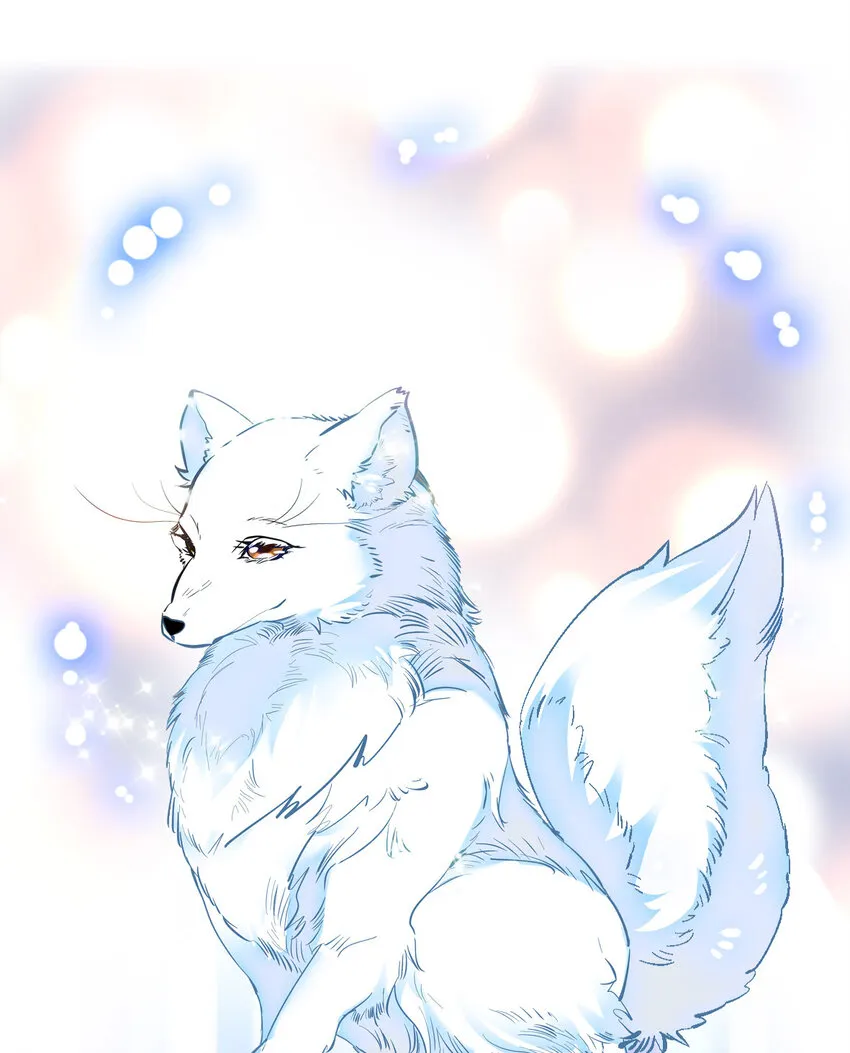 020 登录北极狐 第26页