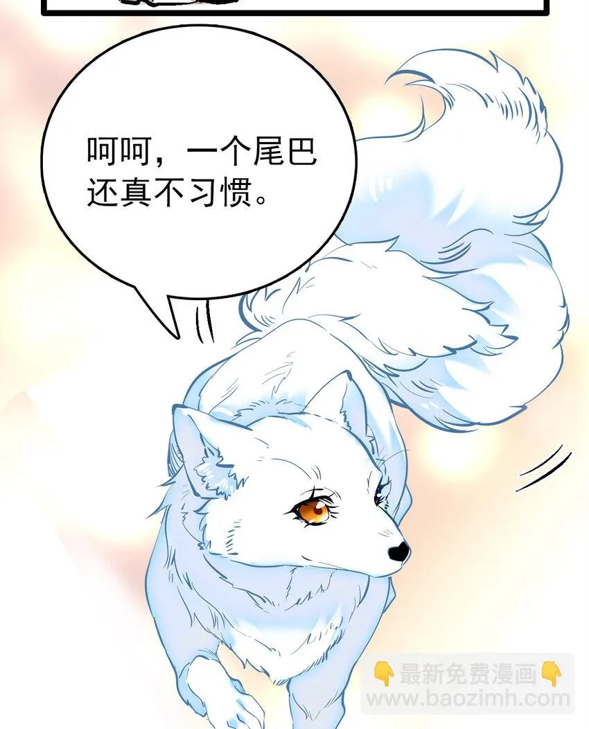 020 登录北极狐 第28页