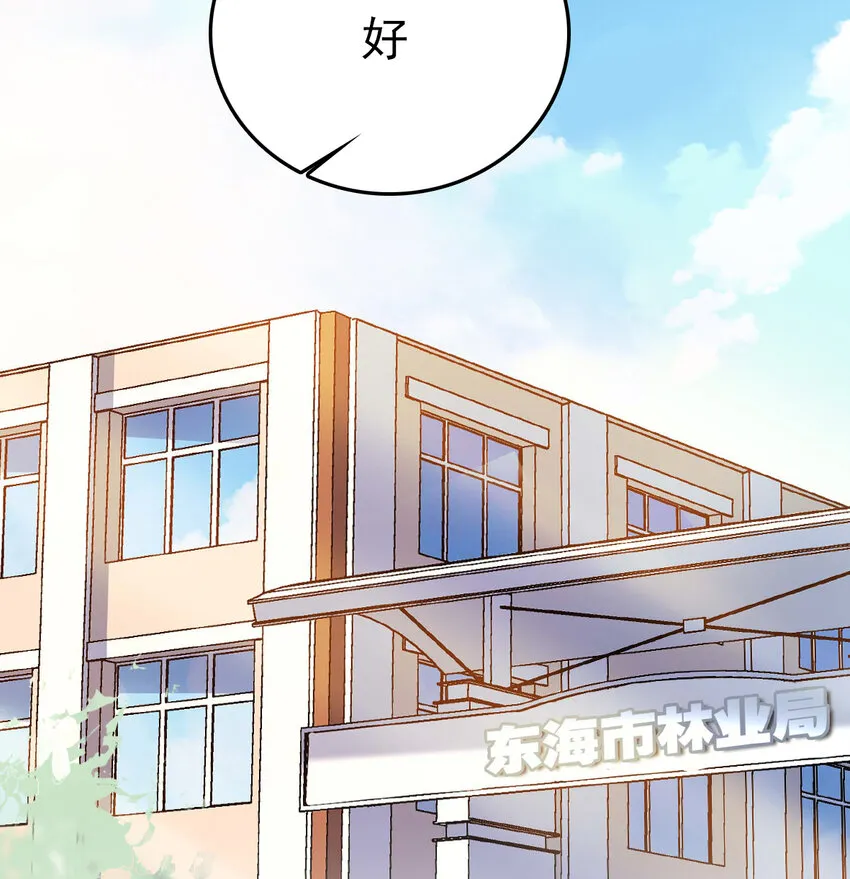 032 下一步计划 第42页