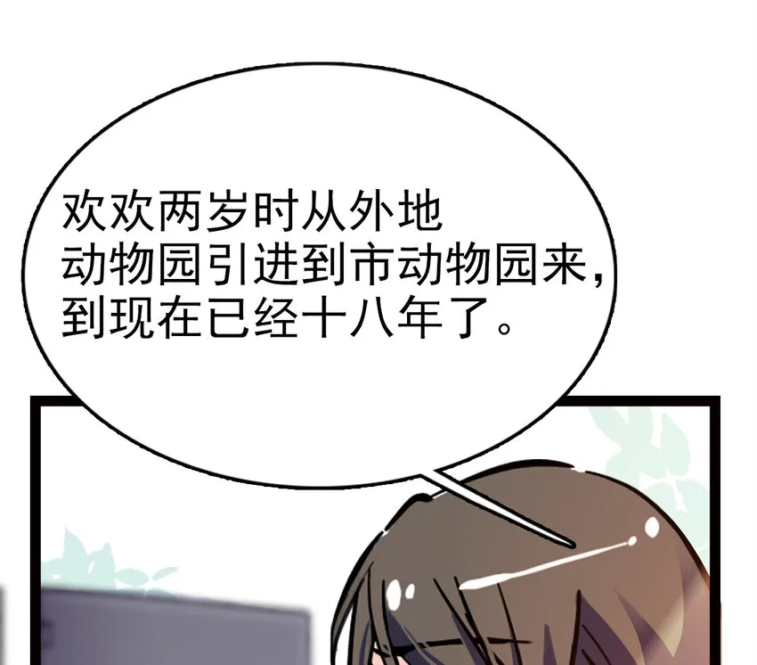 034 狮子欢欢 第42页