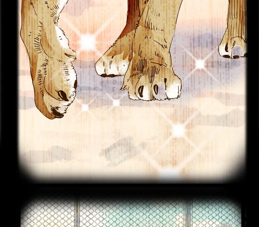 034 狮子欢欢 第49页