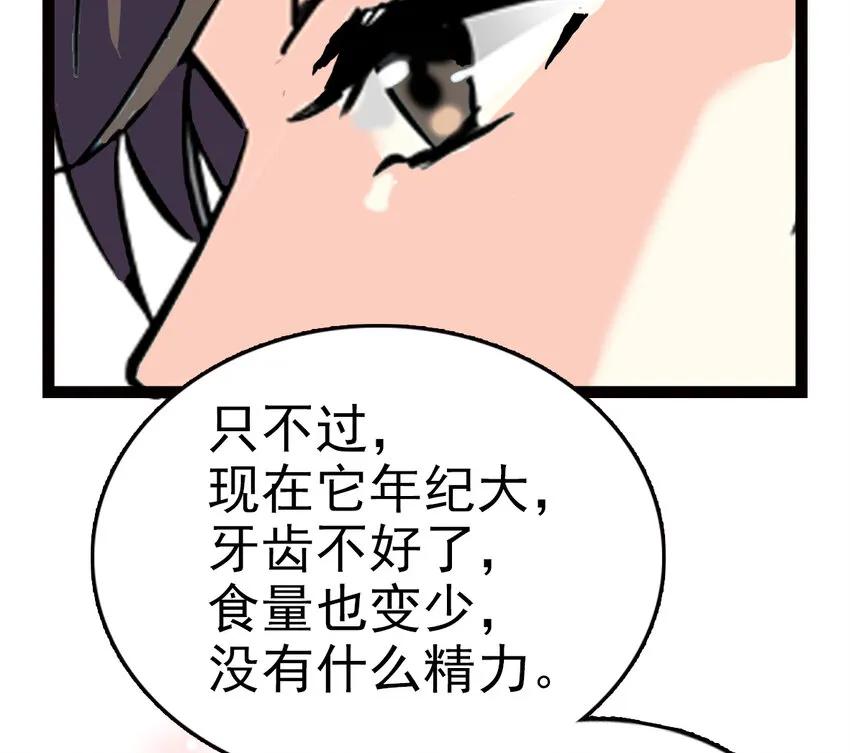 034 狮子欢欢 第53页