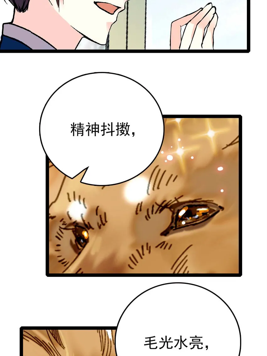 035 名为乐乐 第11页