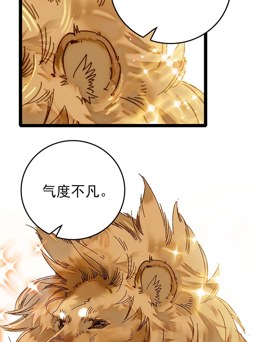 035 名为乐乐 第12页
