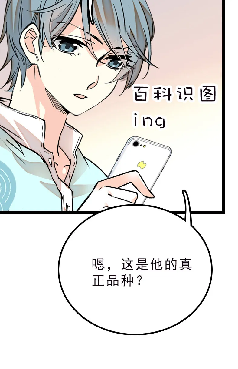 042 喜提新员工 第25页
